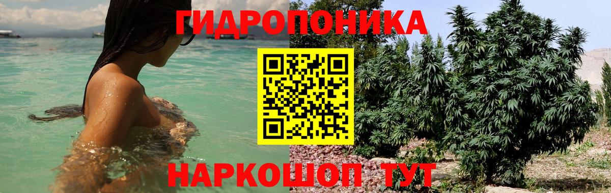 Каннабис LSD WEED  Каннабис LSD WEED  Каннабис сатива  Вход с VPN  Марихуана семена  Саяногорск 